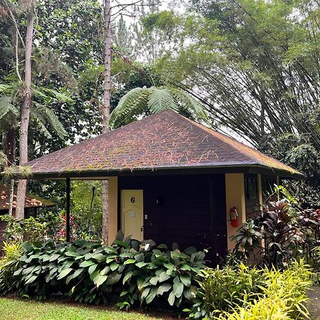 Eden Nature Park And Resort Davao City Εξωτερικό φωτογραφία