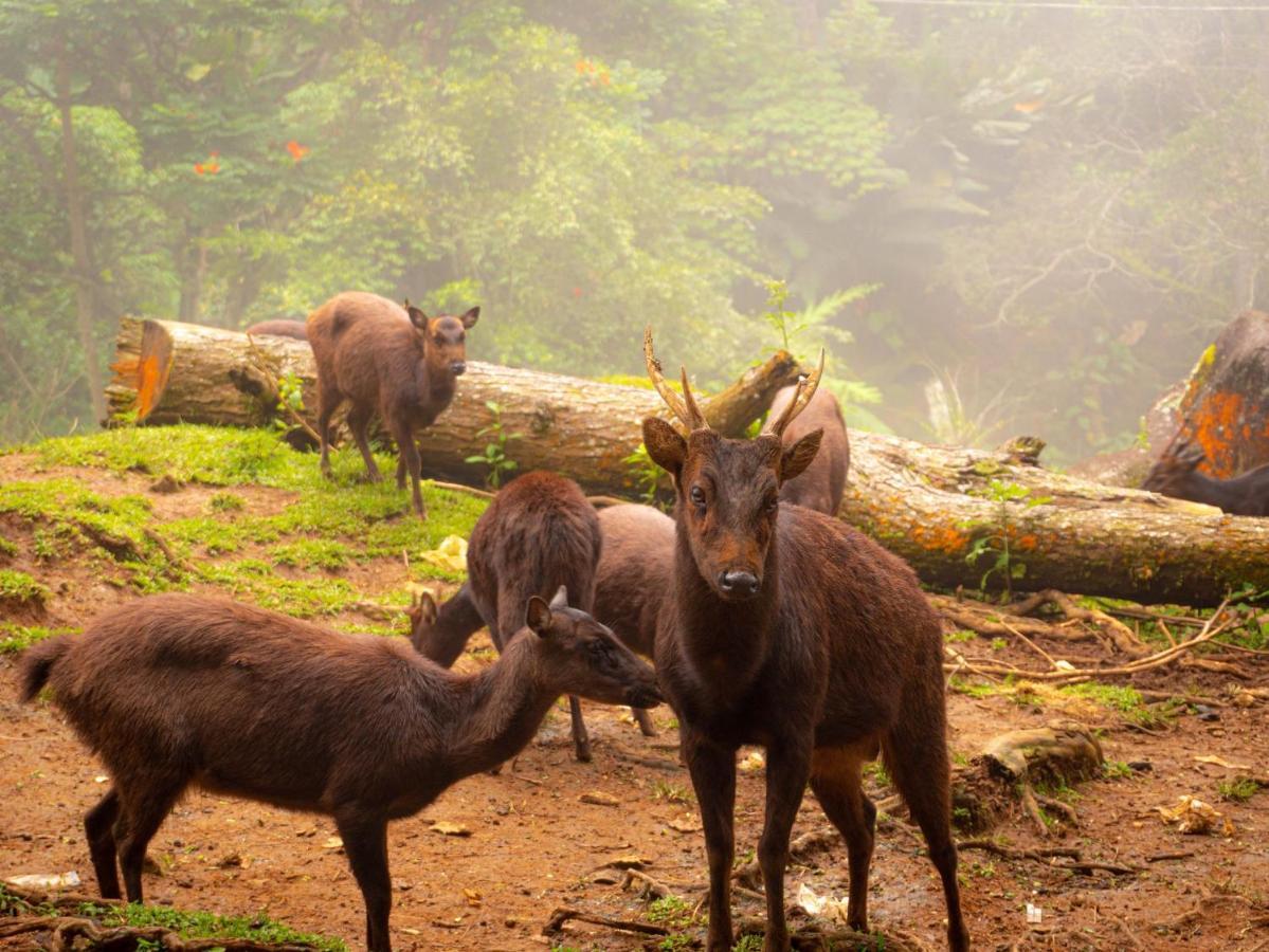 Eden Nature Park And Resort Davao City Εξωτερικό φωτογραφία