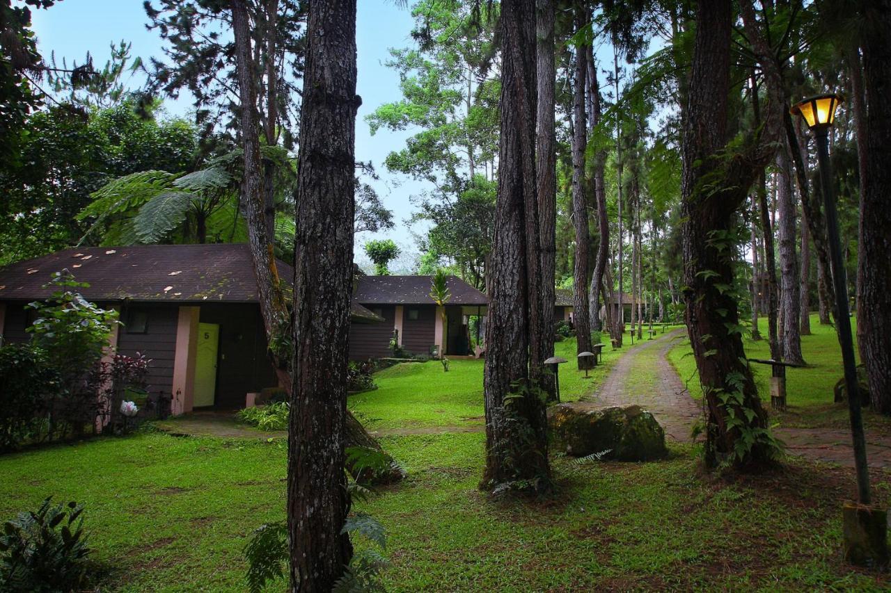 Eden Nature Park And Resort Davao City Εξωτερικό φωτογραφία